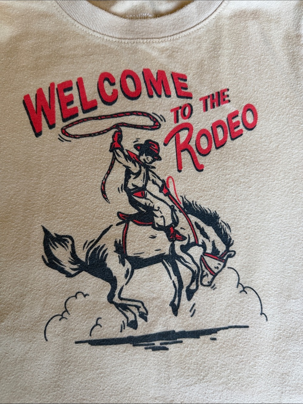 Rodeo Shirt 🤠/FREE - Picture 2 of 4